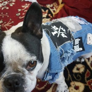 Meet your Posher, Lori